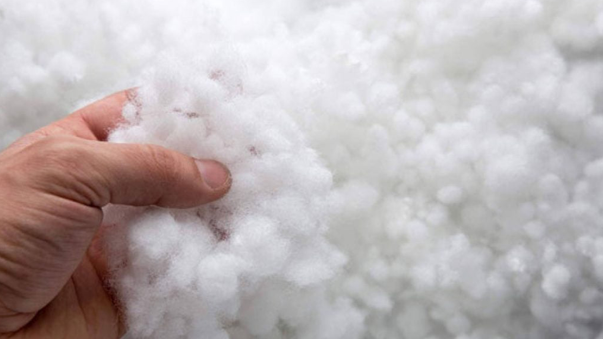 پشم به‌عنوان یک محصول پایدار در تجارت جهانی