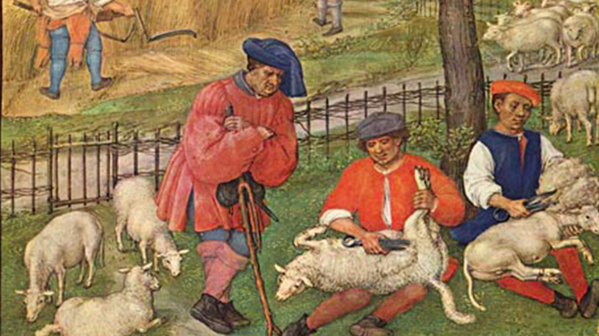 تاریخچه تجارت جهانی پشم