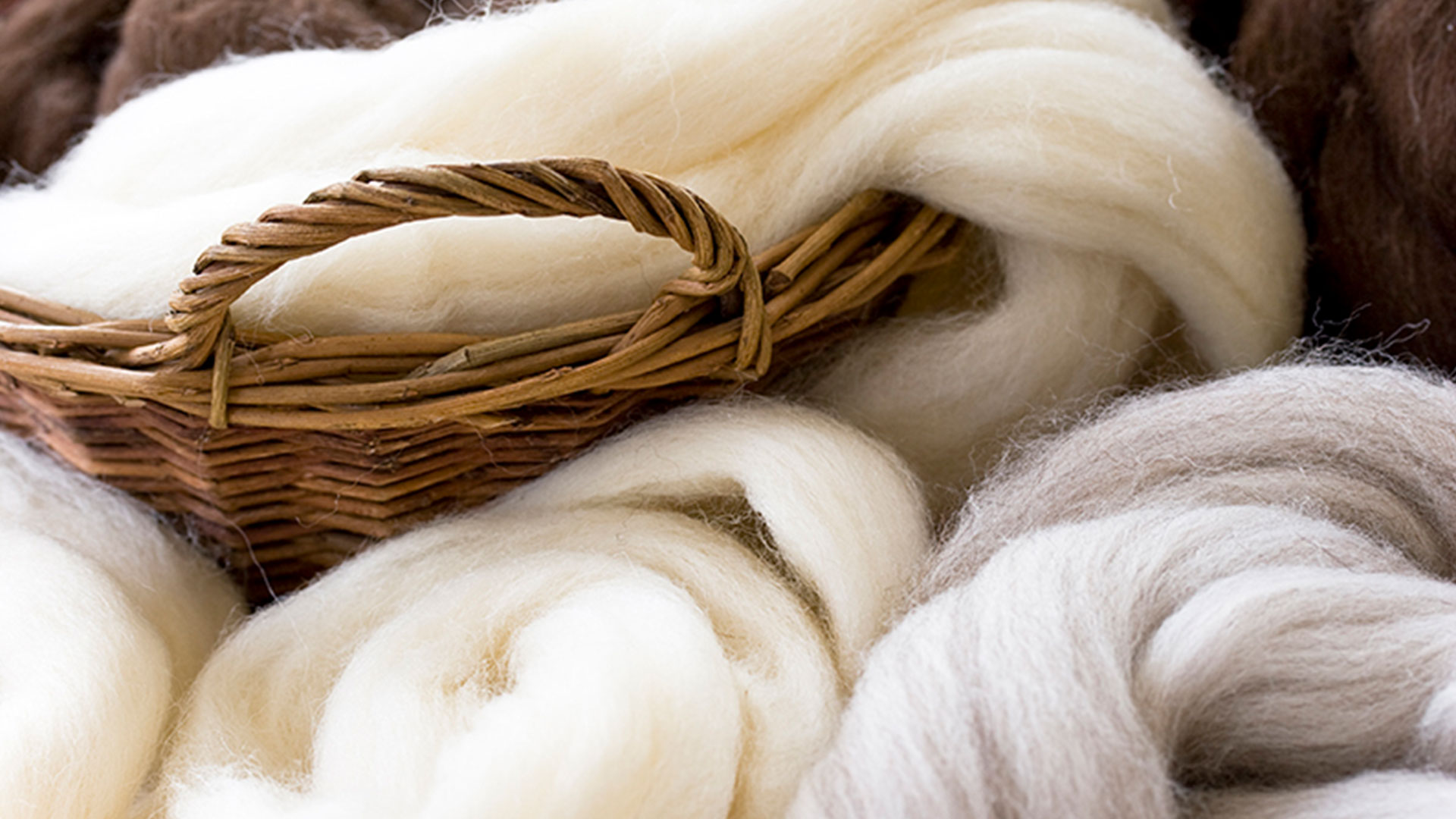 وضعیت بازار پشم در اروپا